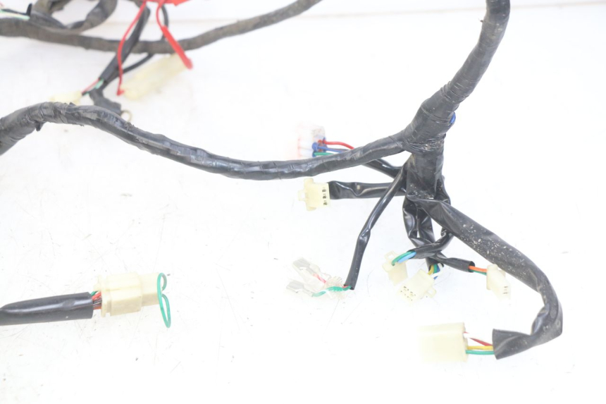 photo de WIRING HARNESS EUROCKA GTR 50 (2007 - 2017)