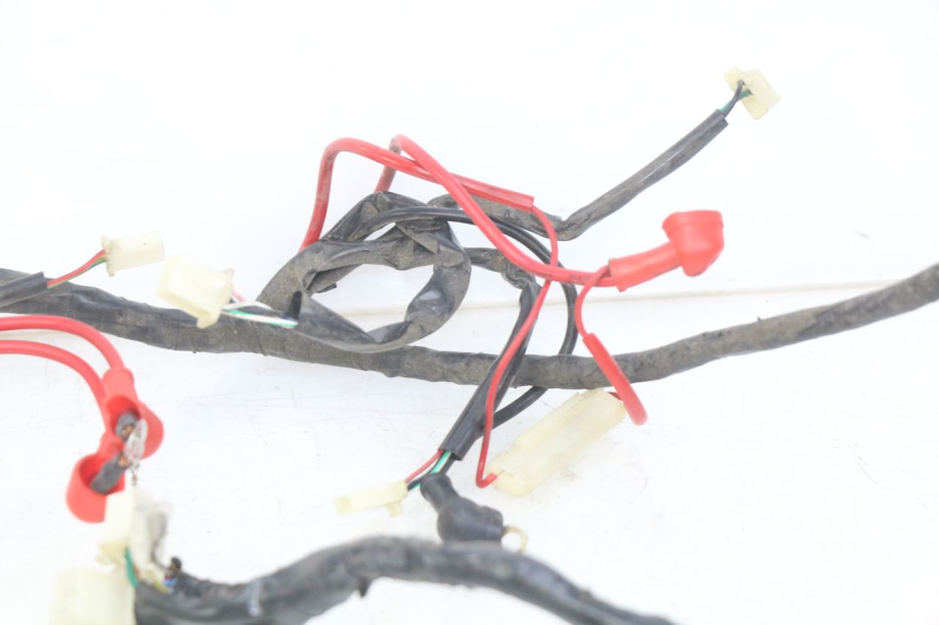 photo de WIRING HARNESS EUROCKA GTR 50 (2007 - 2017)