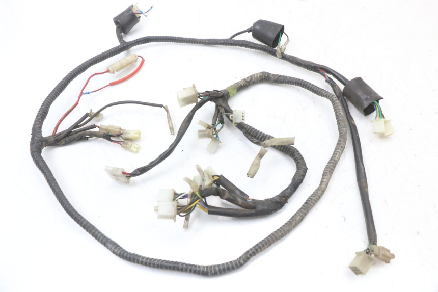 photo de WIRING HARNESS EUROCKA GTR 50 (2007 - 2017)