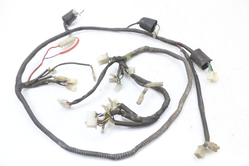 photo de WIRING HARNESS EUROCKA GTR 50 (2007 - 2017)