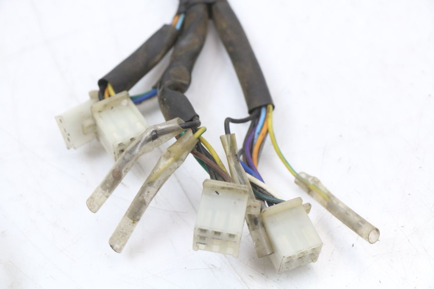 photo de WIRING HARNESS EUROCKA GTR 50 (2007 - 2017)