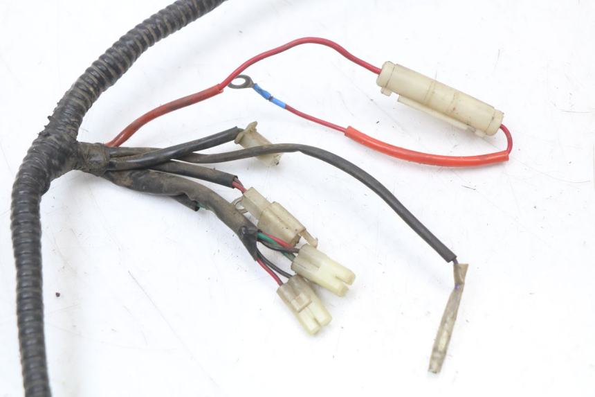 photo de WIRING HARNESS EUROCKA GTR 50 (2007 - 2017)