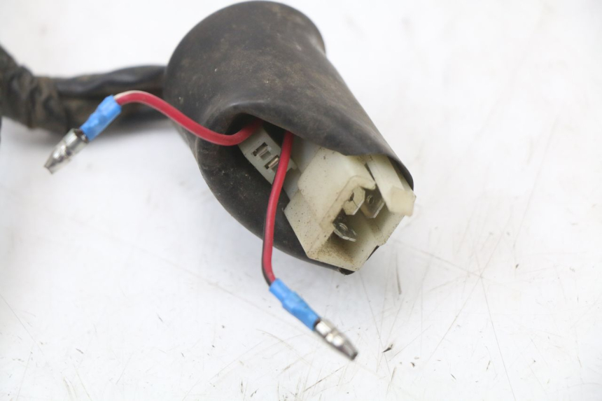 photo de WIRING HARNESS EUROCKA GTR 50 (2007 - 2017)