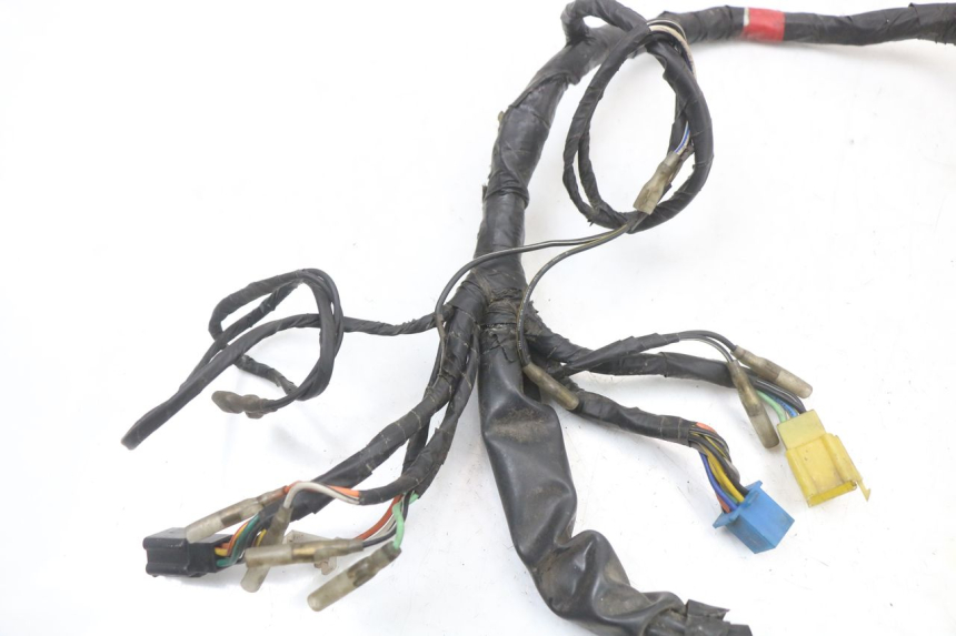 photo de Wiring harness HYOSUNG GV AQUILA 125 (2000 - 2004)