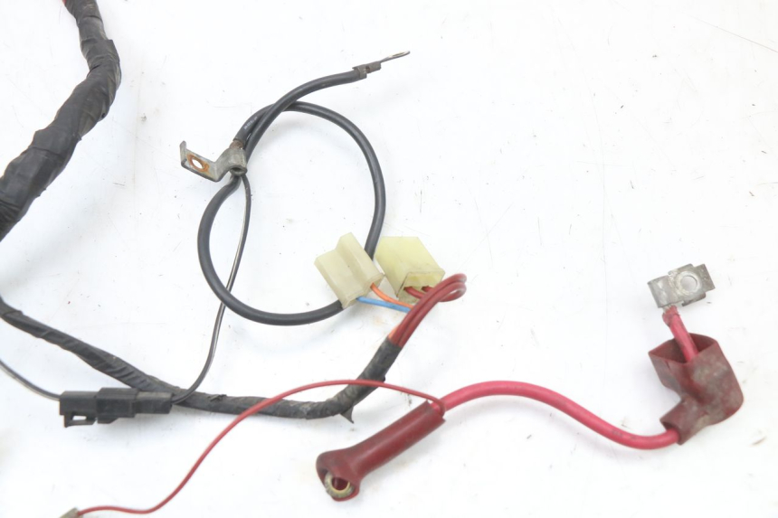 photo de Wiring harness HYOSUNG GV AQUILA 125 (2000 - 2004)