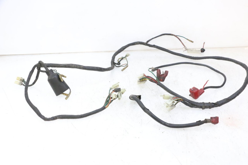 photo de WIRING HARNESS DAELIM HISTORY 125 (2001 - 2002)