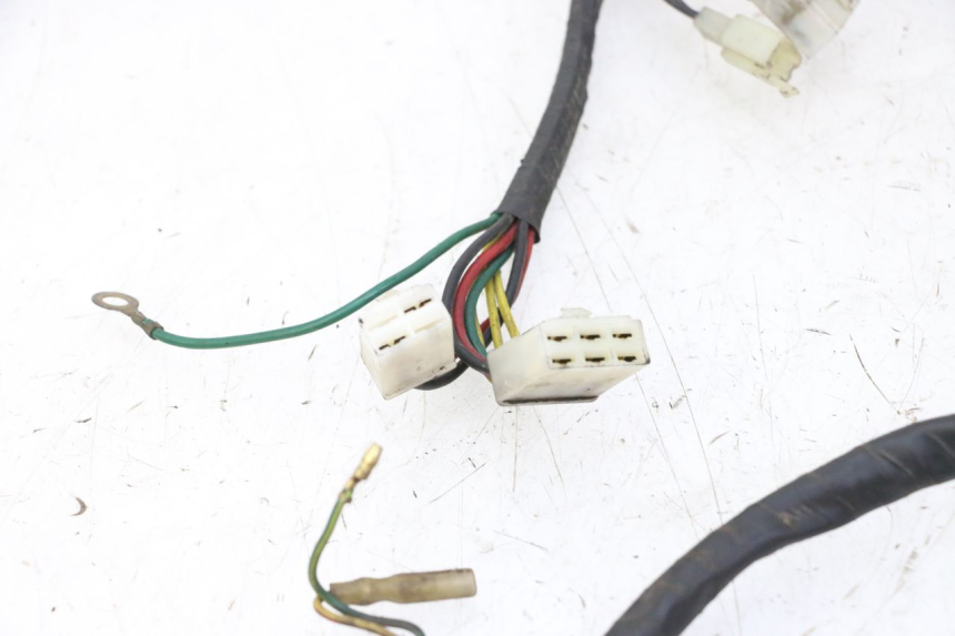 photo de WIRING HARNESS DAELIM HISTORY 125 (2001 - 2002)
