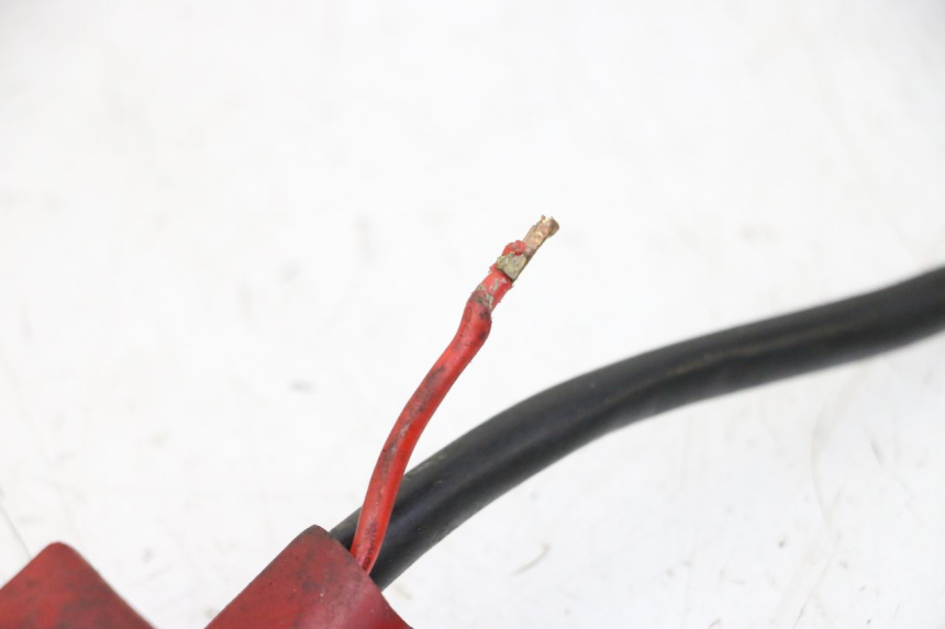 photo de WIRING HARNESS DAELIM HISTORY 125 (2001 - 2002)