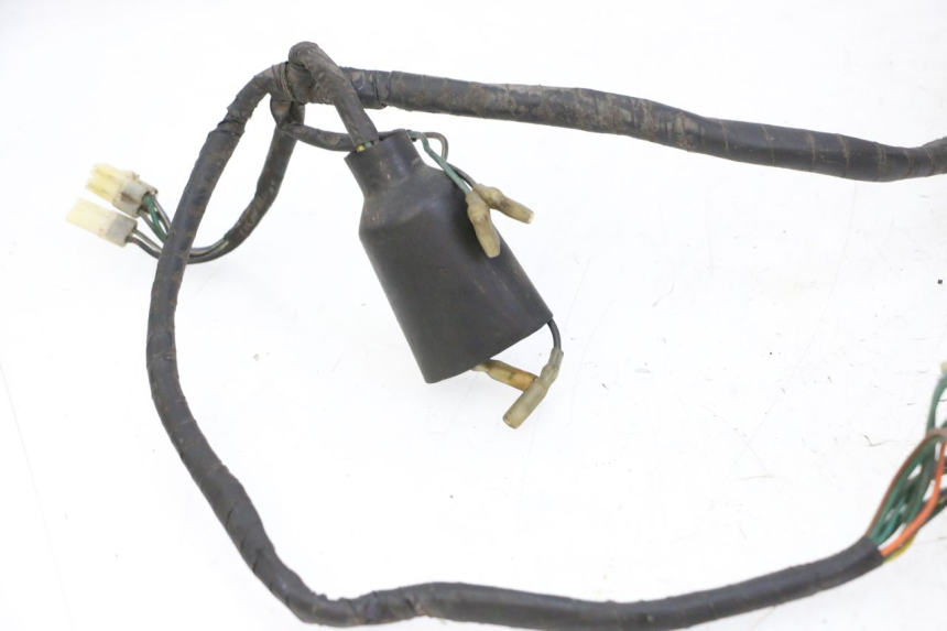 photo de WIRING HARNESS DAELIM HISTORY 125 (2001 - 2002)