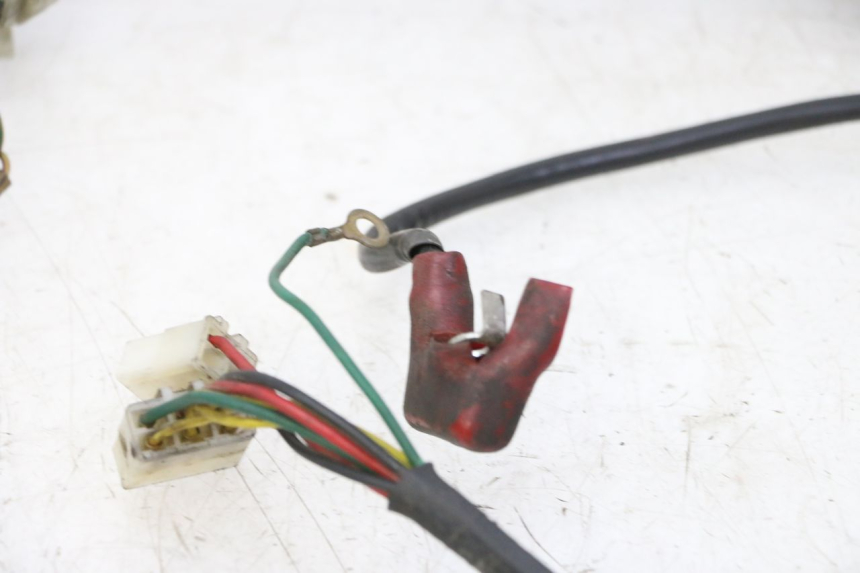 photo de WIRING HARNESS DAELIM HISTORY 125 (2001 - 2002)