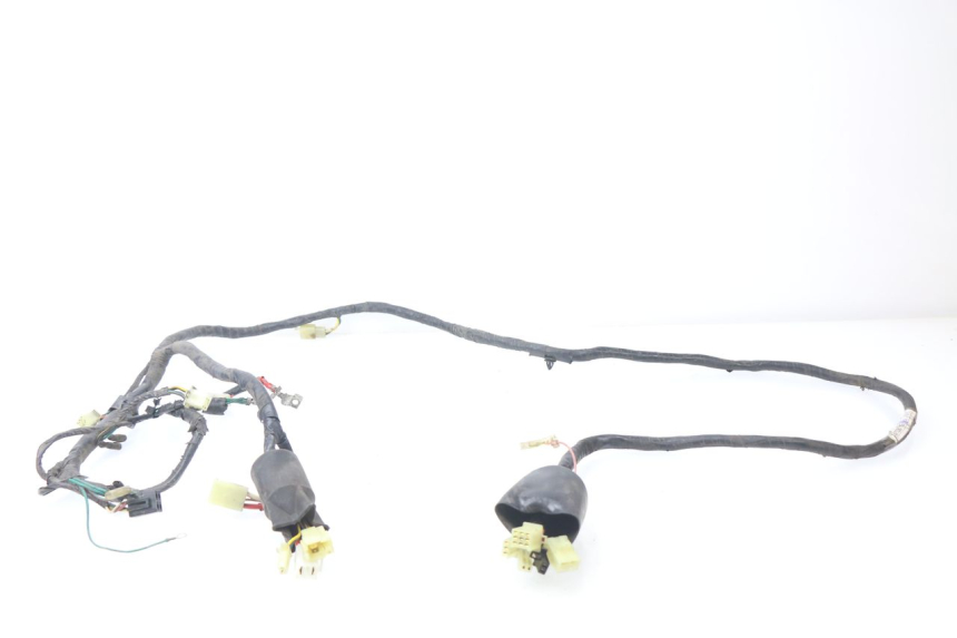 photo de WIRE HARNESS HONDA BALI EX 100 (1996 - 2000)