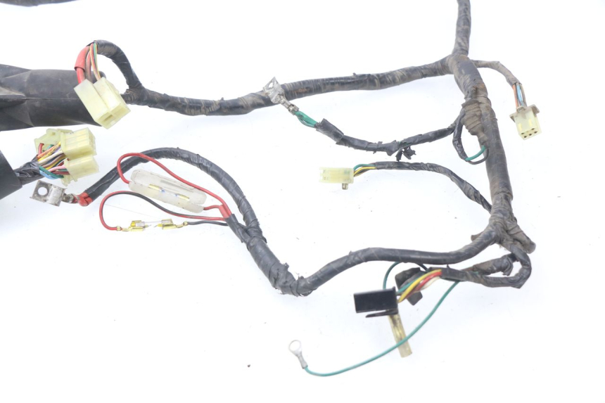 photo de WIRE HARNESS HONDA BALI EX 100 (1996 - 2000)