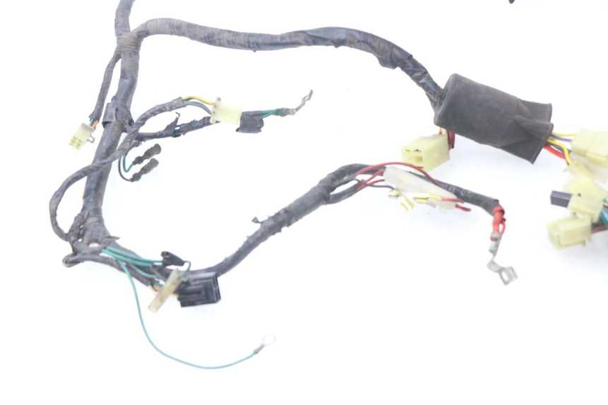 photo de WIRE HARNESS HONDA BALI EX 100 (1996 - 2000)