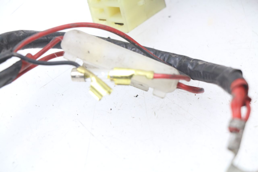 photo de WIRE HARNESS HONDA BALI EX 100 (1996 - 2000)