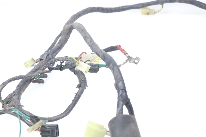 photo de WIRE HARNESS HONDA BALI EX 100 (1996 - 2000)