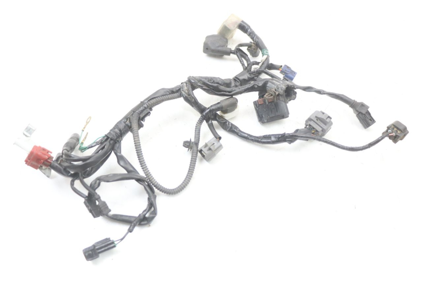 photo de WIRE HARNESS HONDA CRF R 250 (2020 - 2021)