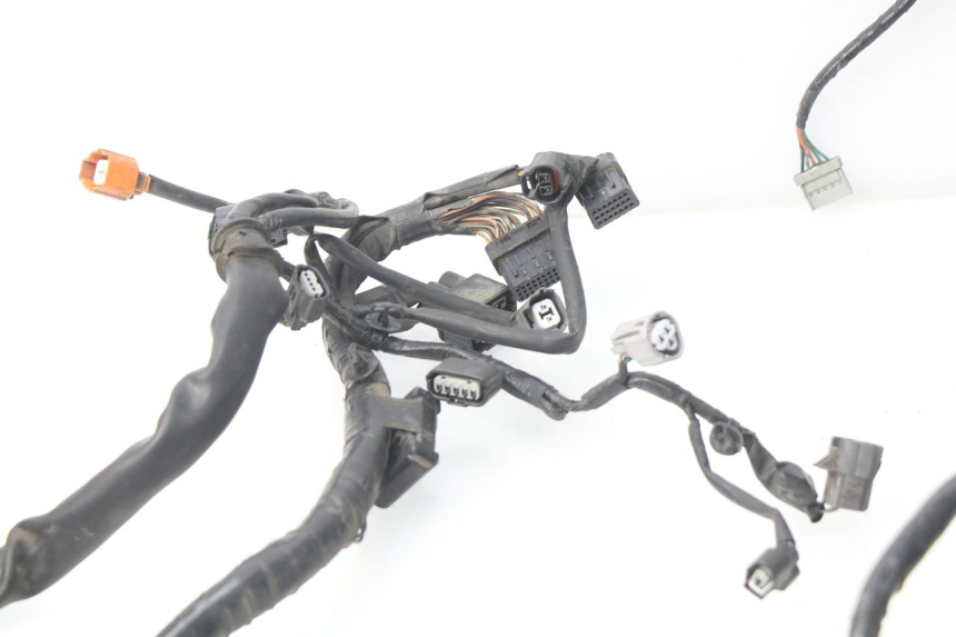 photo de WIRE HARNESS HONDA NSS EX FORZA 250 (2008 - 2009)