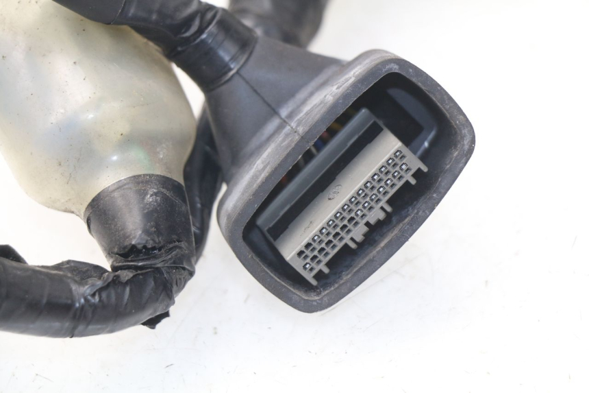 photo de WIRE HARNESS HONDA NSS EX FORZA 250 (2008 - 2009)