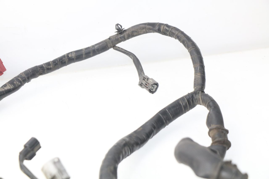 photo de WIRE HARNESS HONDA NSS EX FORZA 250 (2008 - 2009)
