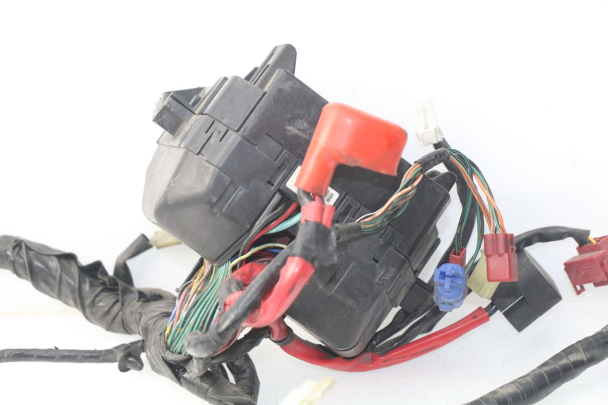 photo de WIRE HARNESS HONDA NSS EX FORZA 250 (2008 - 2009)