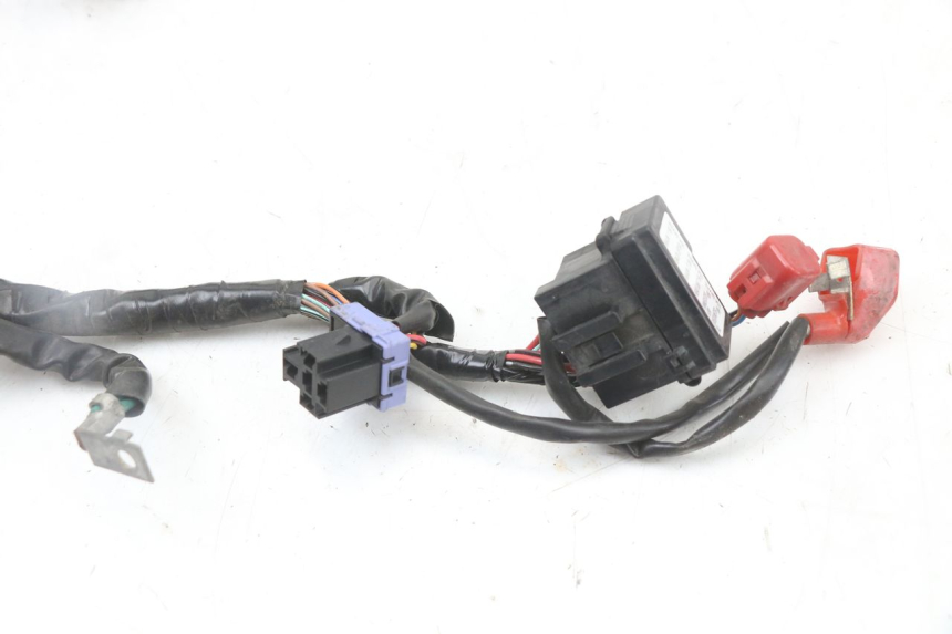 photo de WIRING HARNESS HONDA PCX (JF47) 125 (2012 - 2013)