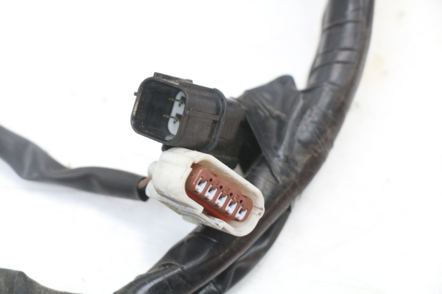 photo de WIRING HARNESS HONDA PCX (JF47) 125 (2012 - 2013)