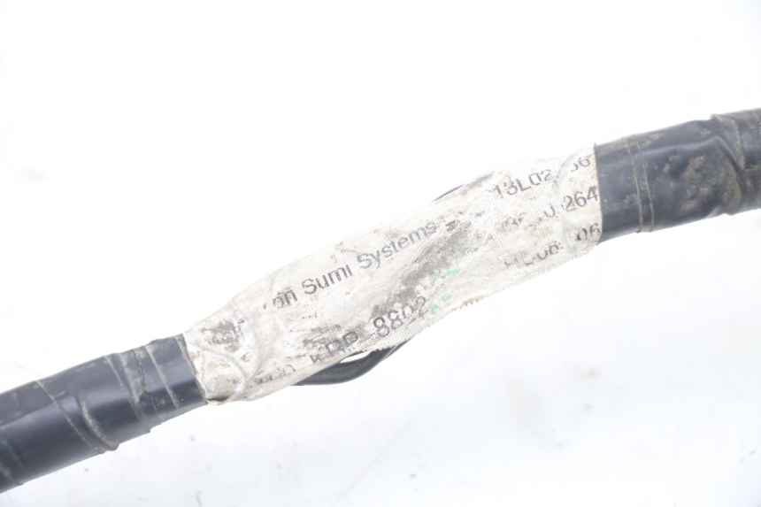 photo de WIRE HARNESS HONDA SCV LEAD 100 (2003 - 2007)