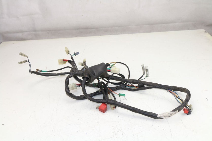 photo de WIRE HARNESS HONDA SCV LEAD 100 (2003 - 2007)