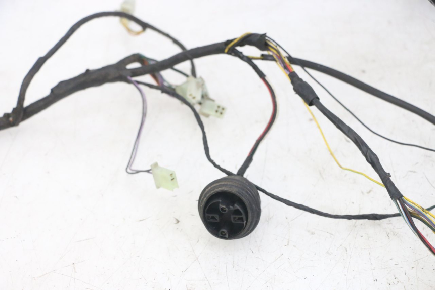 photo de WIRE HARNESS PEUGEOT JET FORCE CARBU 50 (2003 - 2016)