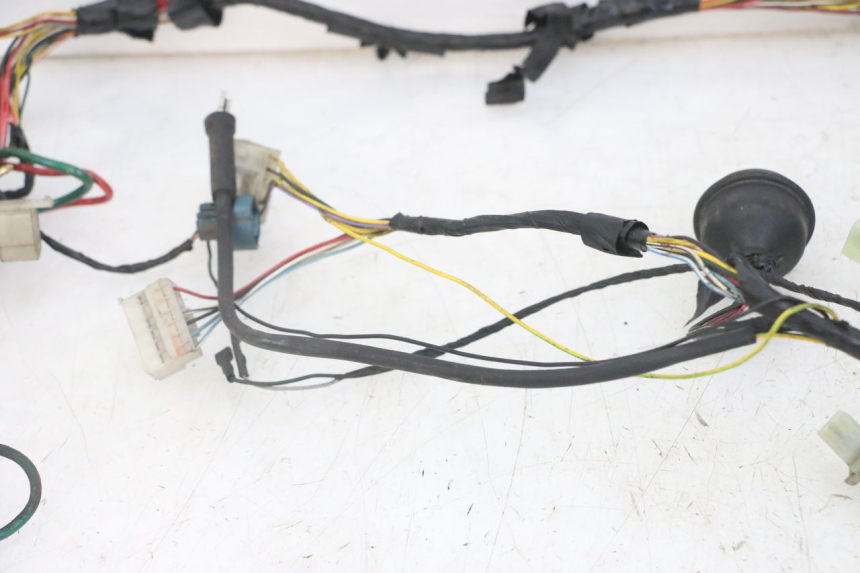 photo de WIRE HARNESS PEUGEOT JET FORCE CARBU 50 (2003 - 2016)