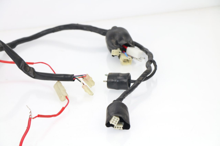 photo de WIRE HARNESS JM MOTORS MILANO 50 (2014 - 2019)