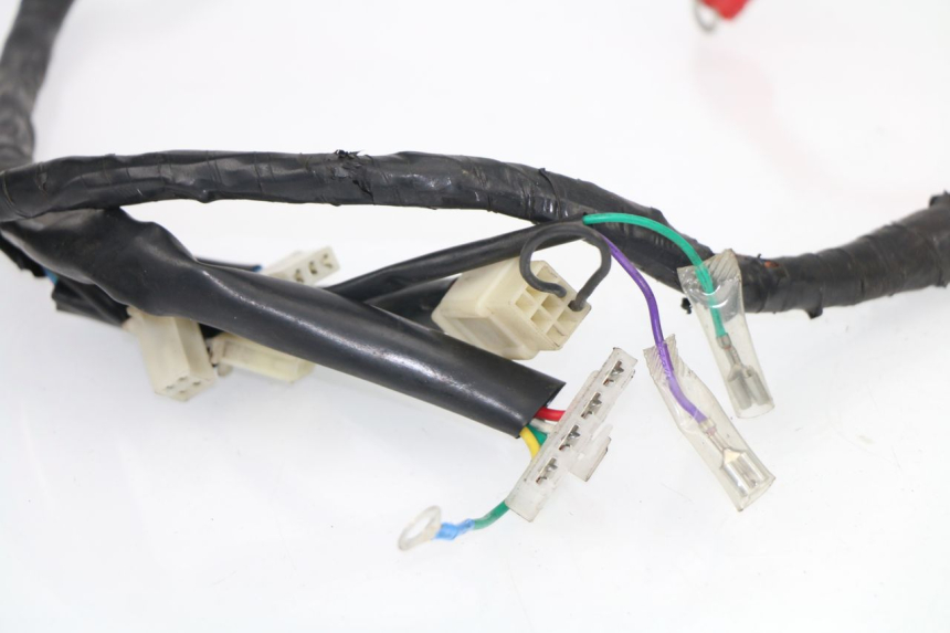 photo de WIRE HARNESS JM MOTORS MILANO 50 (2014 - 2019)