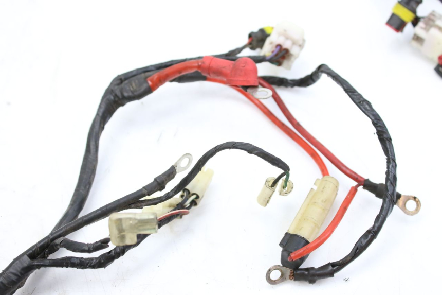 photo de WIRING HARNESS RIDE KALLIO 50 (2010 - 2019)