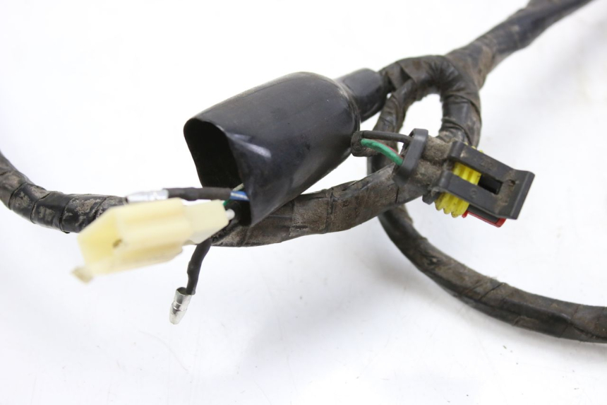 photo de WIRING HARNESS RIDE KALLIO 50 (2010 - 2019)