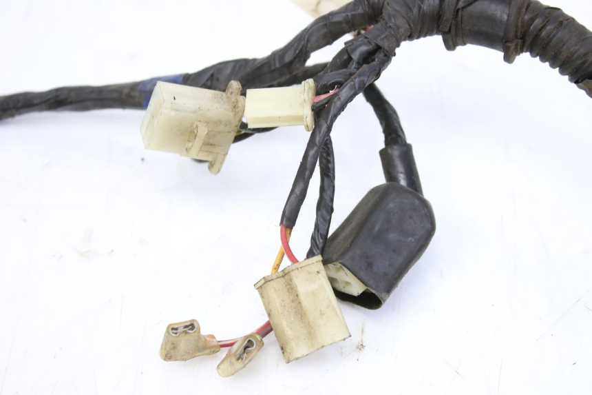 photo de WIRING HARNESS RIDE KALLIO 50 (2010 - 2019)