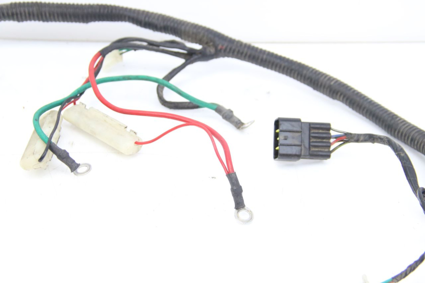 photo de WIRING HARNESS ORCAL KITE 4T 50 (2019 - 2023)