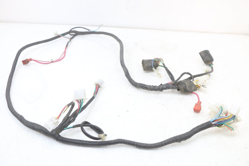 photo de WIRING HARNESS ORCAL KITE 4T 50 (2019 - 2023)