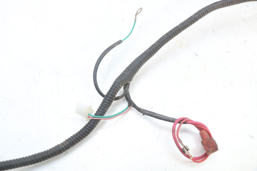 photo de WIRING HARNESS ORCAL KITE 4T 50 (2019 - 2023)