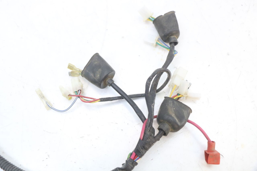photo de WIRING HARNESS ORCAL KITE 4T 50 (2019 - 2023)