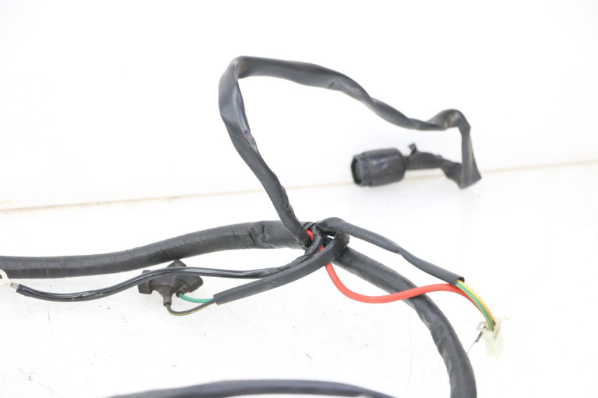 photo de WIRE HARNESS KYMCO PEOPLE S 125 (2000 - 2008)