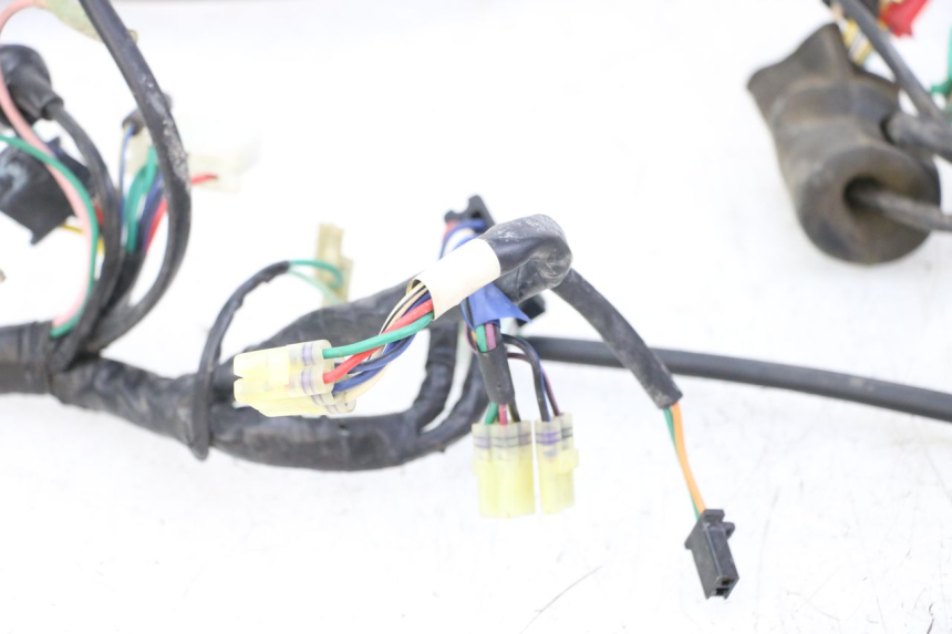 photo de WIRE HARNESS KYMCO PEOPLE S 125 (2000 - 2008)