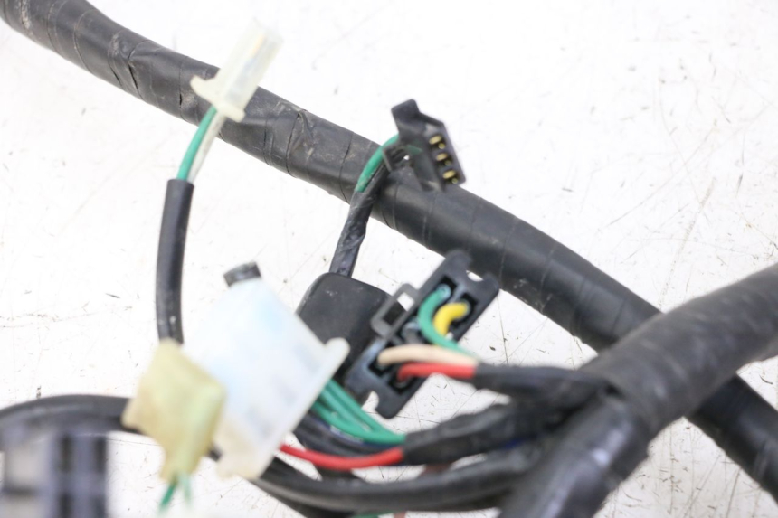 photo de WIRE HARNESS KYMCO PEOPLE S 125 (2000 - 2008)