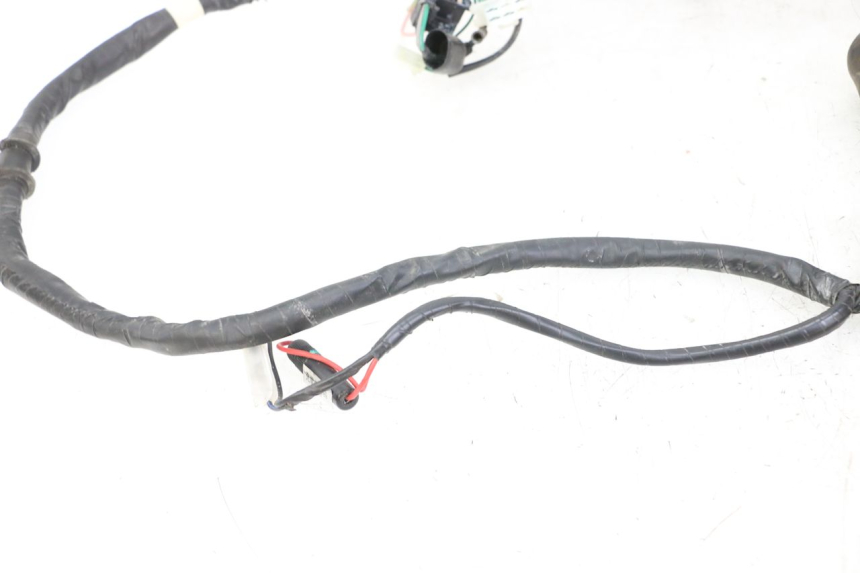 photo de WIRE HARNESS KYMCO PEOPLE S 125 (2000 - 2008)