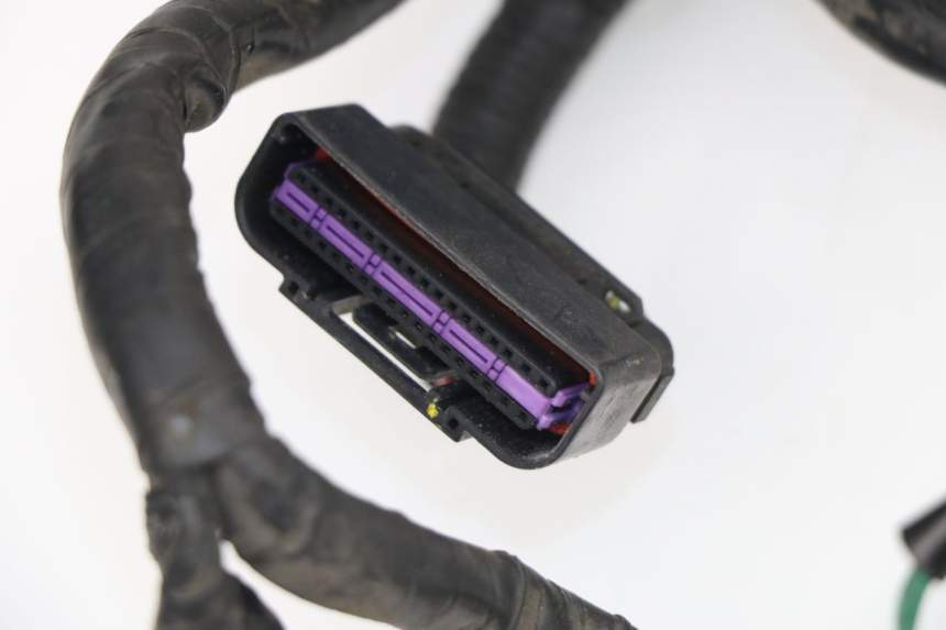 photo de WIRE HARNESS KYMCO XCITING 500 (2007 - 2010)