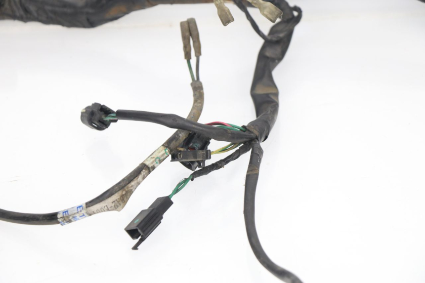 photo de WIRE HARNESS KYMCO XCITING 500 (2007 - 2010)
