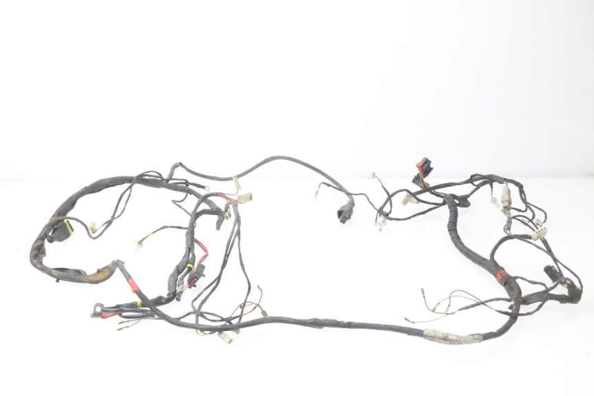 photo de WIRE HARNESS PIAGGIO LIBERTY 4T 50 (2004 - 2008)