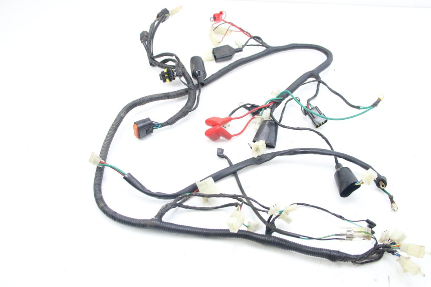 photo de WIRING HARNESS LONGJIA DIGITA 4T 50 (2019 - 2022)