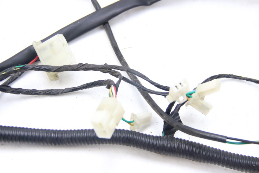 photo de WIRING HARNESS LONGJIA DIGITA 4T 50 (2019 - 2022)