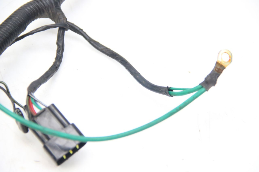 photo de WIRING HARNESS LONGJIA DIGITA 4T 50 (2019 - 2022)