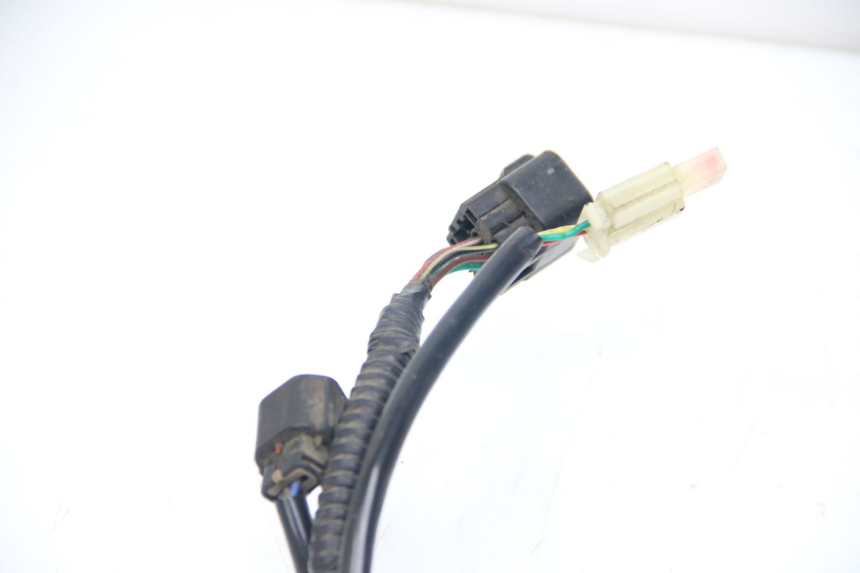 photo de WIRING HARNESS LONGJIA DIGITA 4T 50 (2019 - 2022)